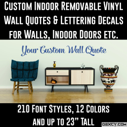 custom_indoor_vinyl_lettering_decals_1246267283
